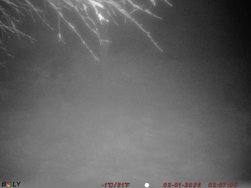 Bild från STORATRÄA