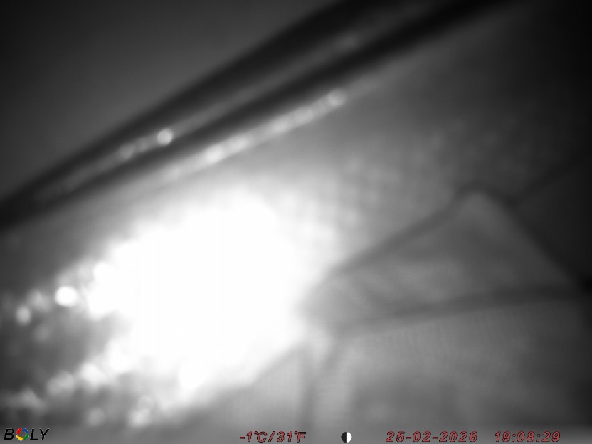 Bild från STORATRÄA