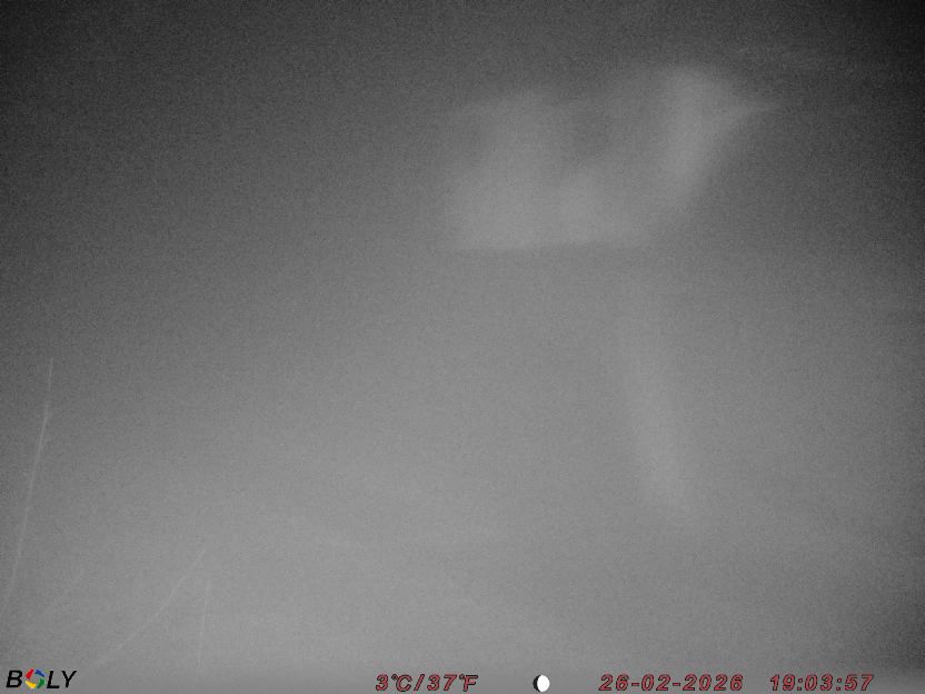 Bild från STORATRÄA