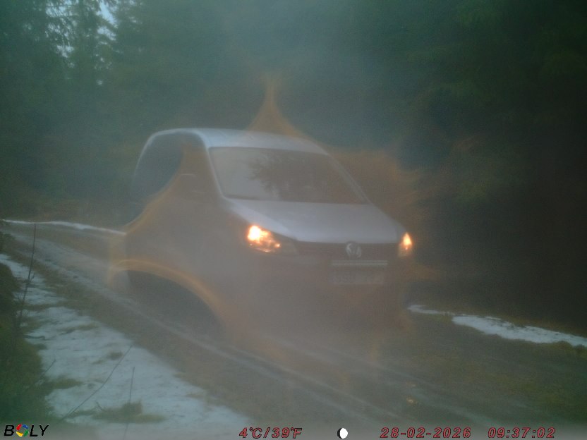 Bild från STORATRÄA