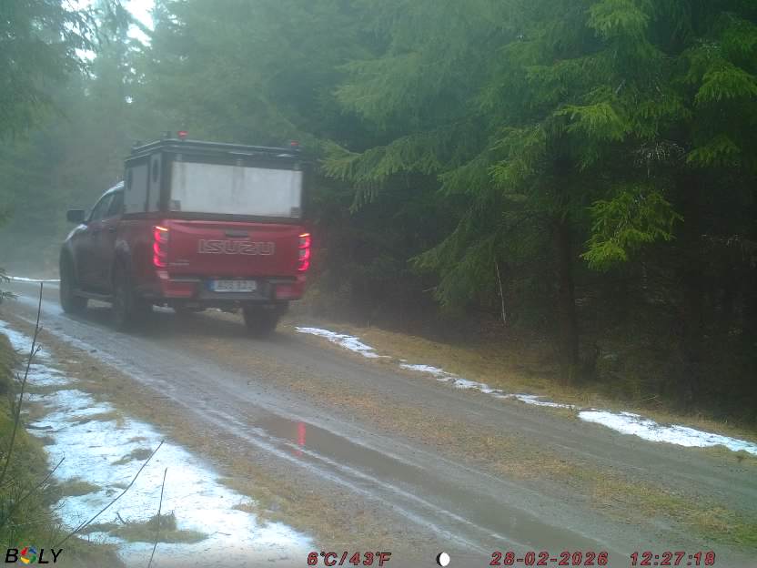 Bild från STORATRÄA