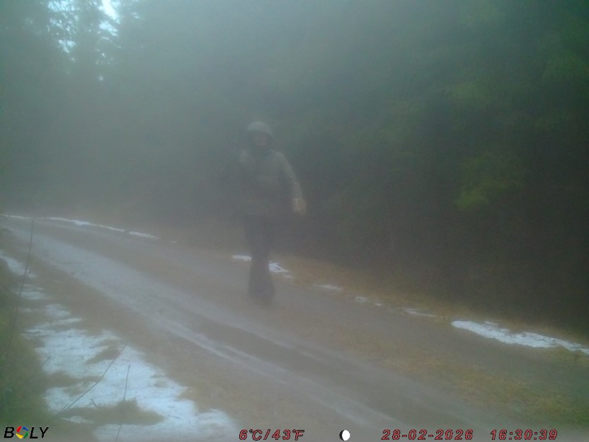 Bild från STORATRÄA