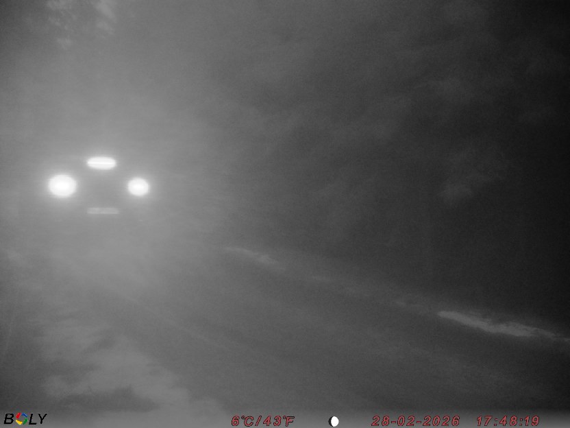 Bild från STORATRÄA