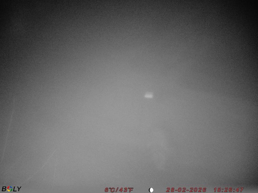 Bild från STORATRÄA