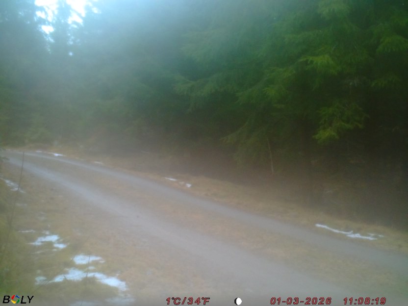 Bild från STORATRÄA