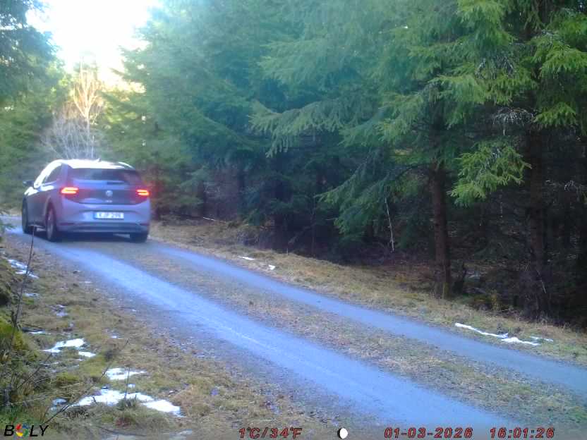 Bild från STORATRÄA