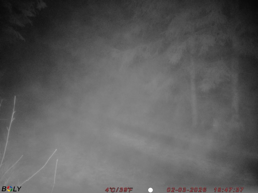 Bild från STORATRÄA