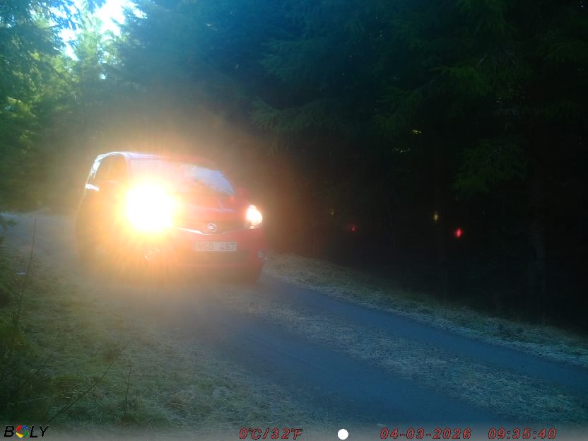 Bild från STORATRÄA