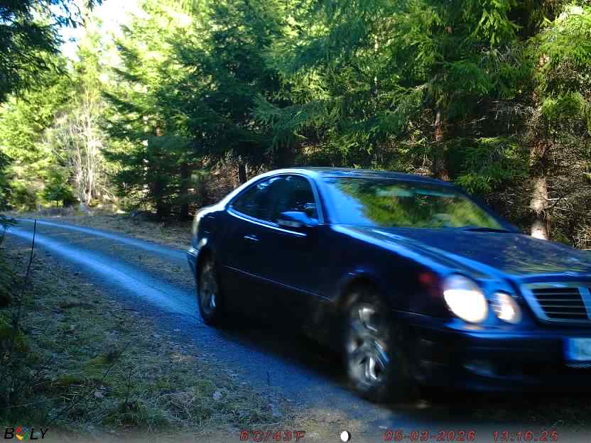 Bild från STORATRÄA