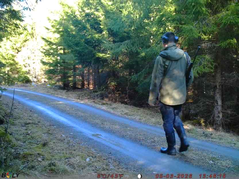 Bild från STORATRÄA