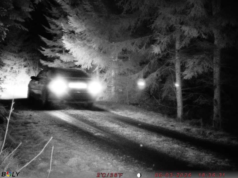 Bild från STORATRÄA