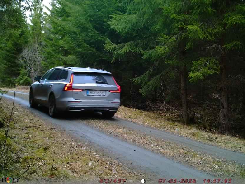 Bild från STORATRÄA