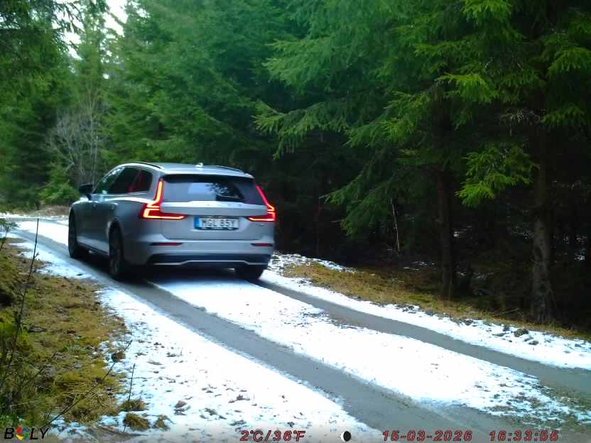 Bild från STORATRÄA