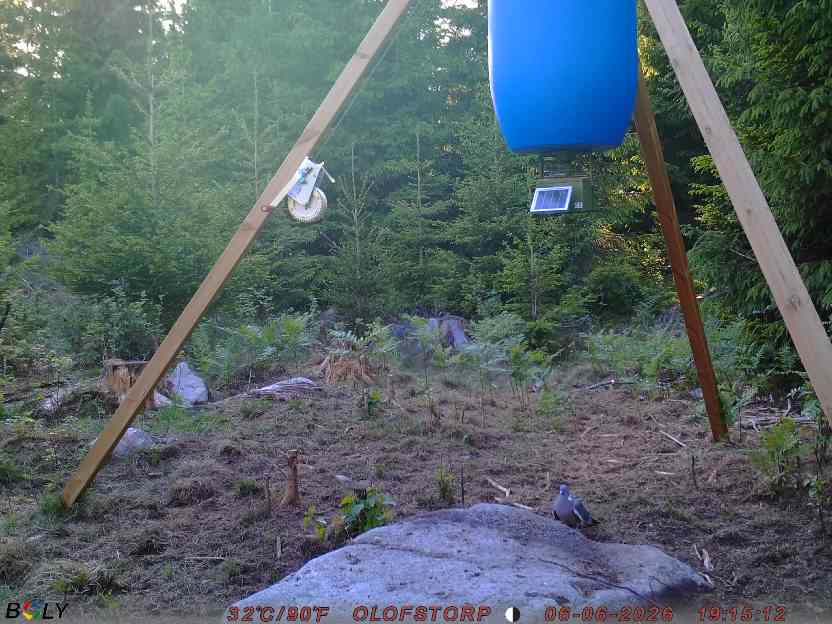 Bild från OLOFSTORP