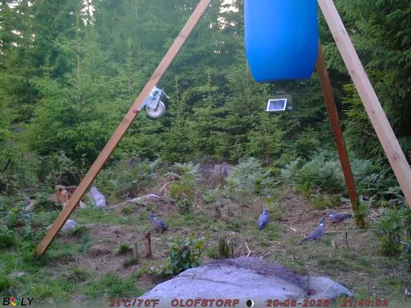 Bild från OLOFSTORP