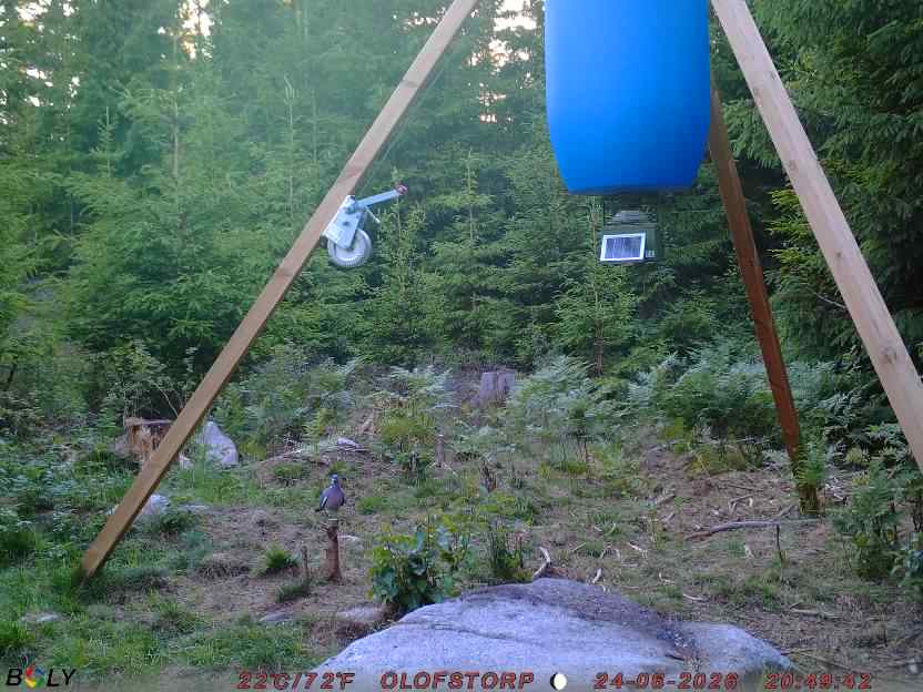Bild från OLOFSTORP