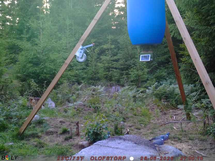 Bild från OLOFSTORP