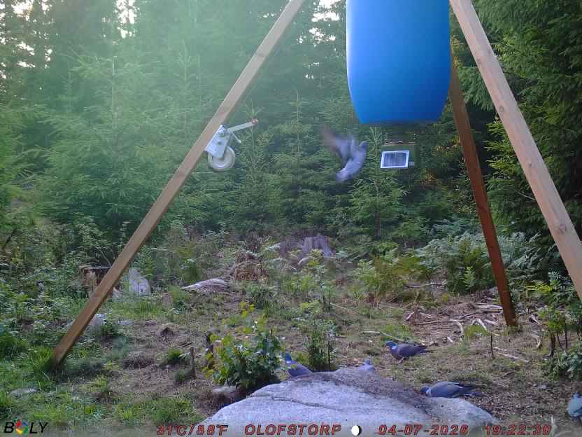 Bild från OLOFSTORP