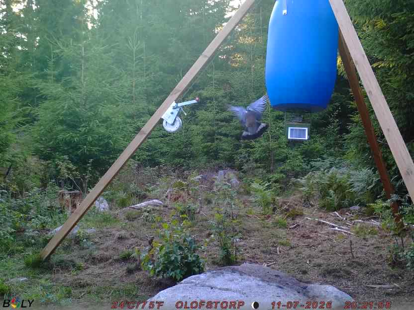 Bild från OLOFSTORP