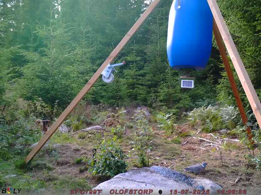 Bild från OLOFSTORP