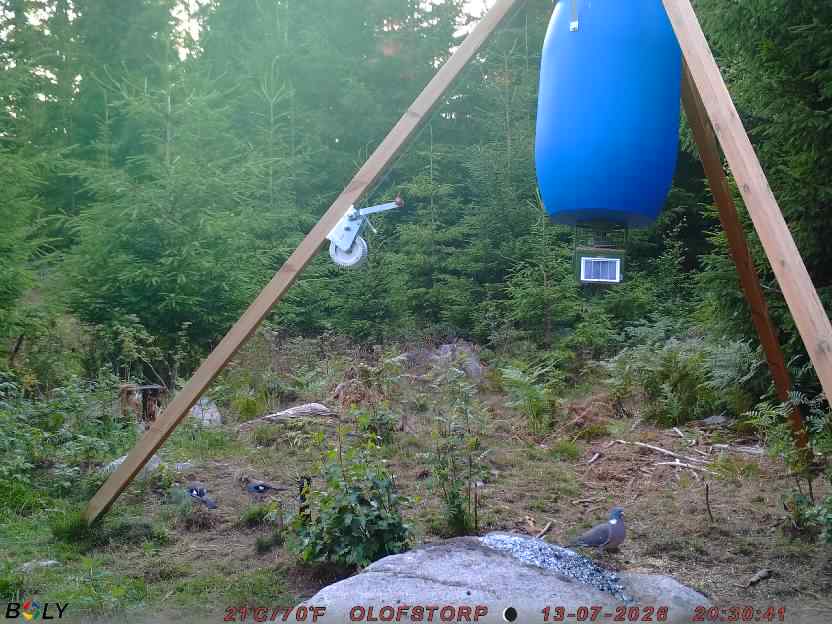Bild från OLOFSTORP