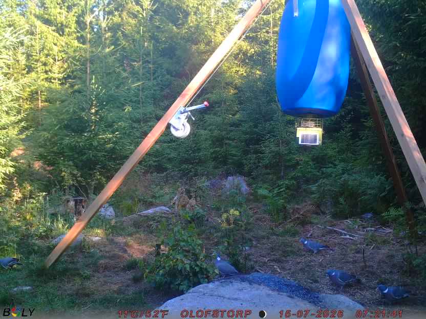 Bild från OLOFSTORP