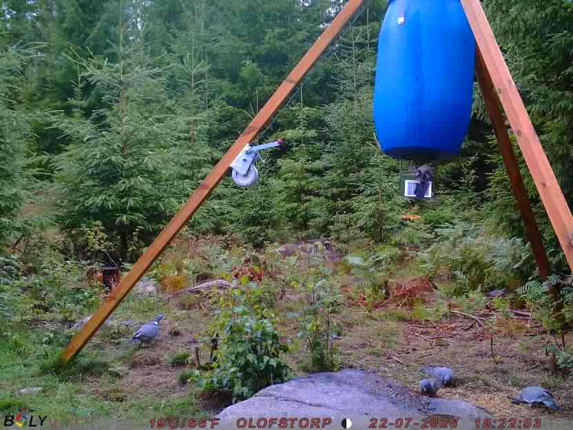 Bild från OLOFSTORP