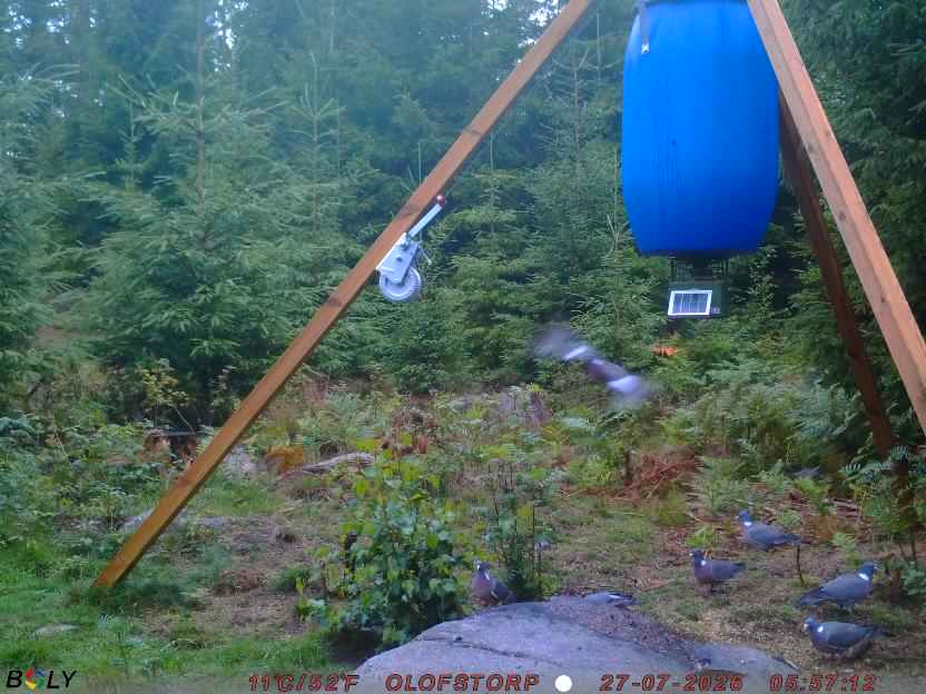 Bild från OLOFSTORP