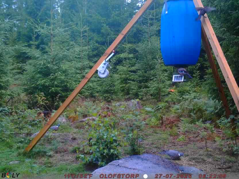 Bild från OLOFSTORP
