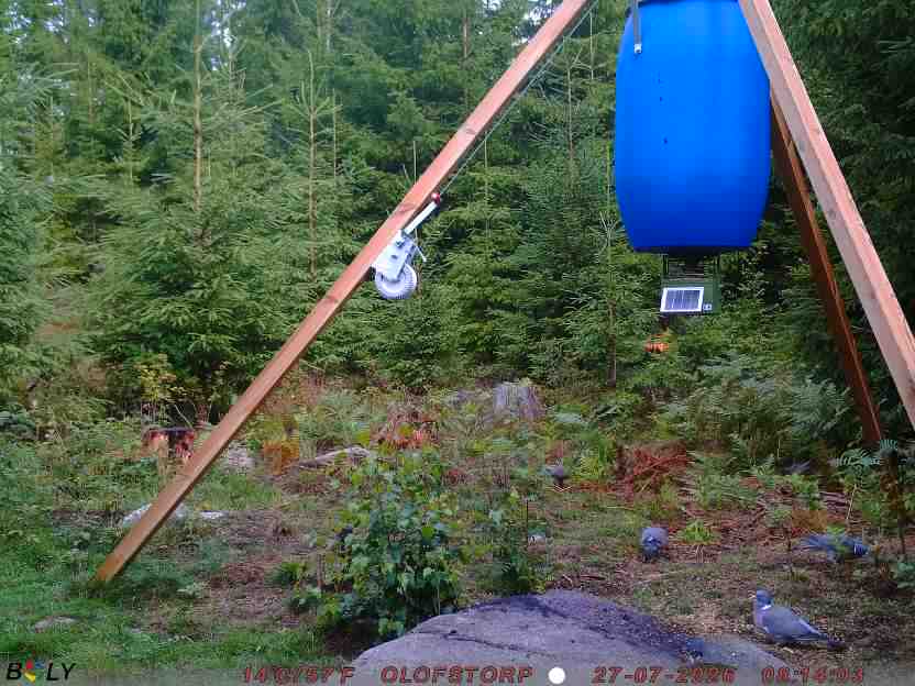 Bild från OLOFSTORP