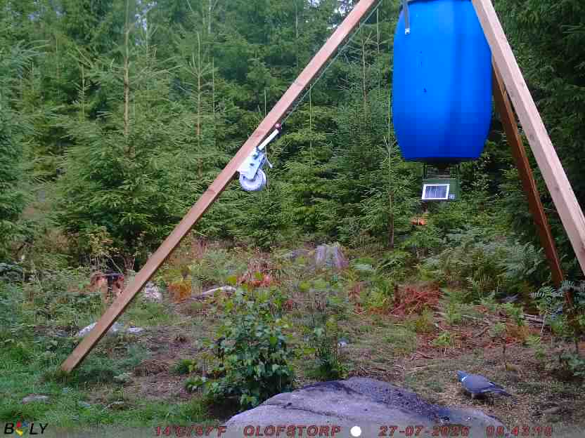 Bild från OLOFSTORP