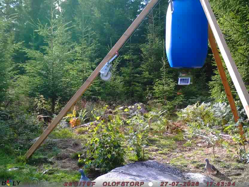 Bild från OLOFSTORP