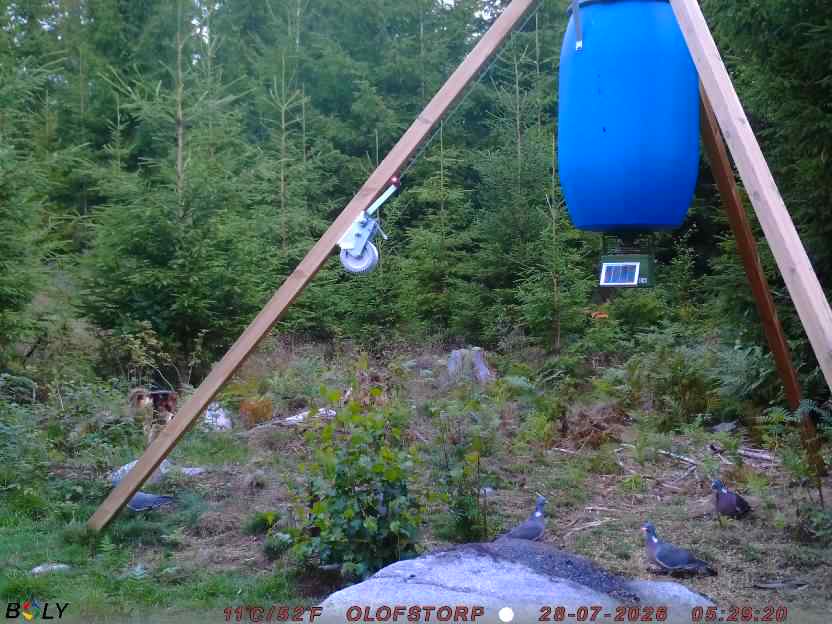 Bild från OLOFSTORP