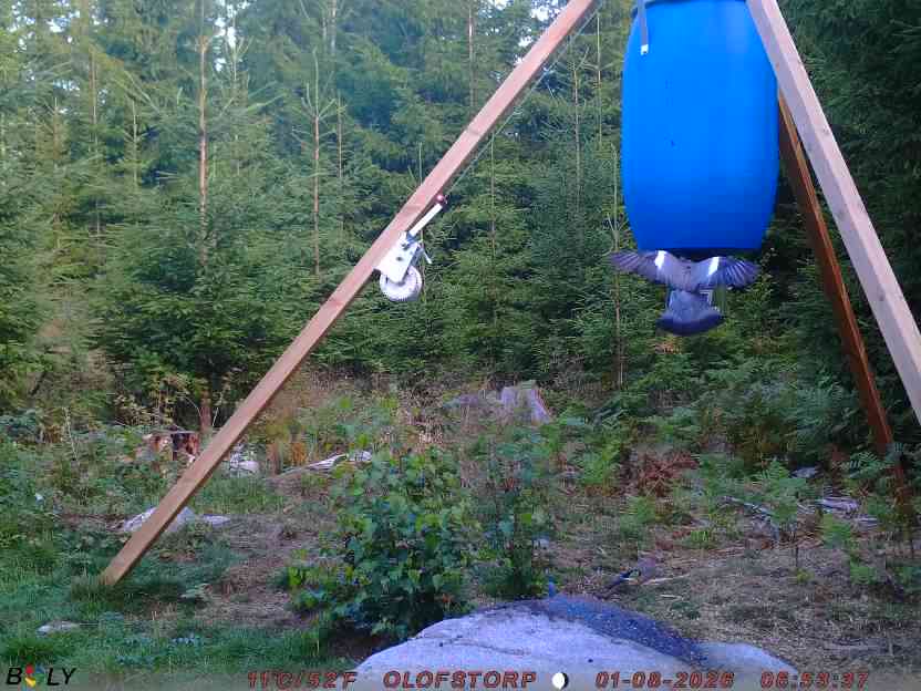 Bild från OLOFSTORP