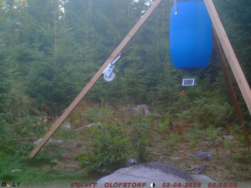 Bild från OLOFSTORP