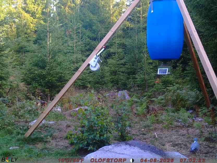 Bild från OLOFSTORP