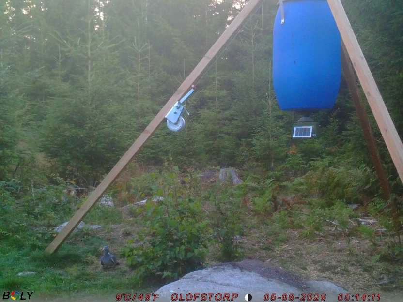 Bild från OLOFSTORP
