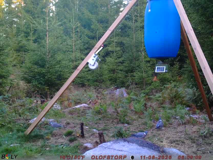 Bild från OLOFSTORP
