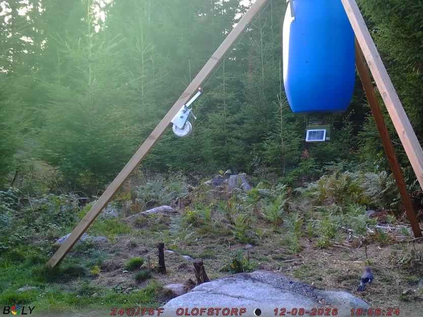 Bild från OLOFSTORP