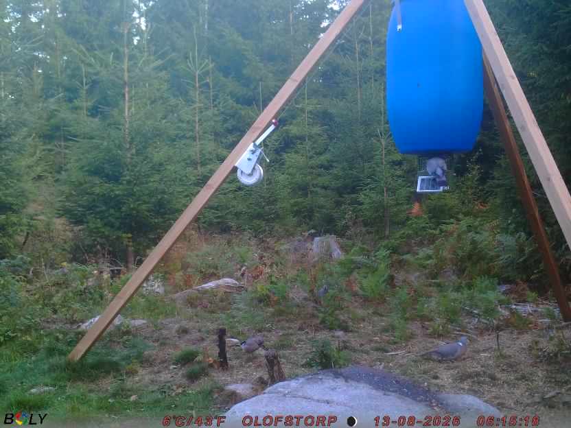Bild från OLOFSTORP