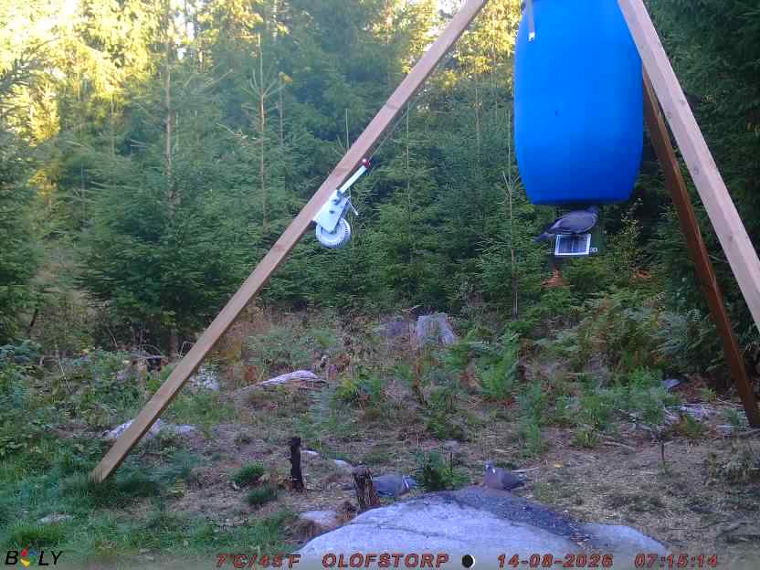 Bild från OLOFSTORP
