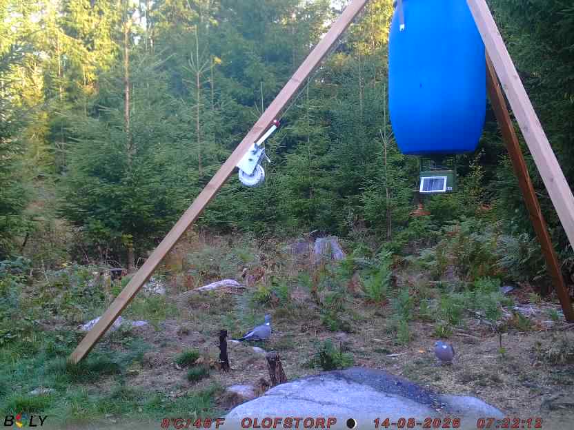 Bild från OLOFSTORP
