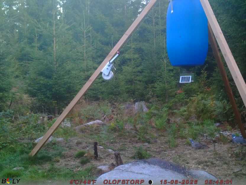 Bild från OLOFSTORP