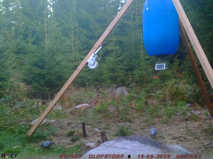 Bild från OLOFSTORP