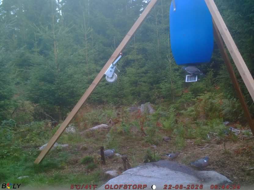 Bild från OLOFSTORP