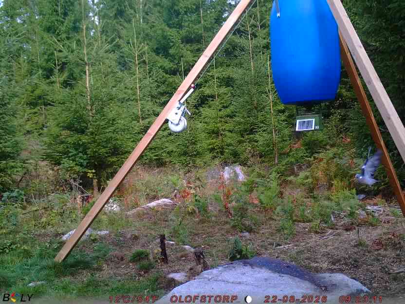 Bild från OLOFSTORP
