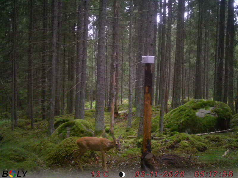 Bild från SALTSTENEKENÄS