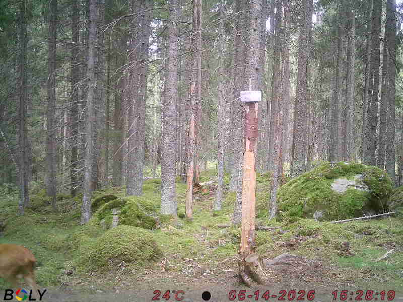 Bild från SALTSTENEKENÄS