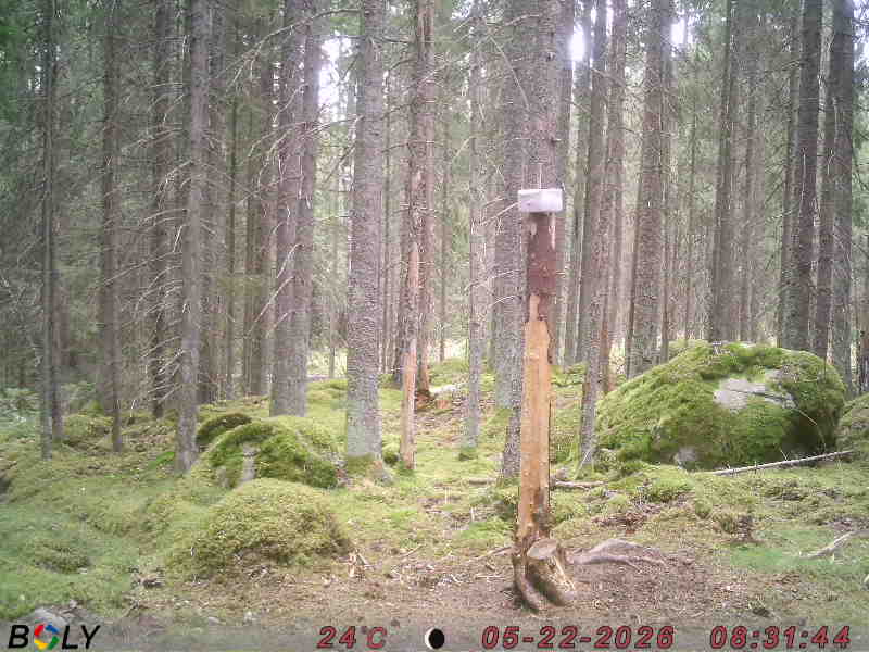 Bild från SALTSTENEKENÄS