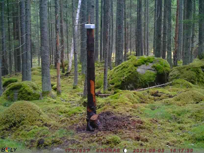 Bild från EKENÄSSALTSTEN